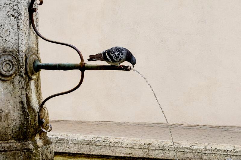 L'importance de l'hydratation pour votre santé