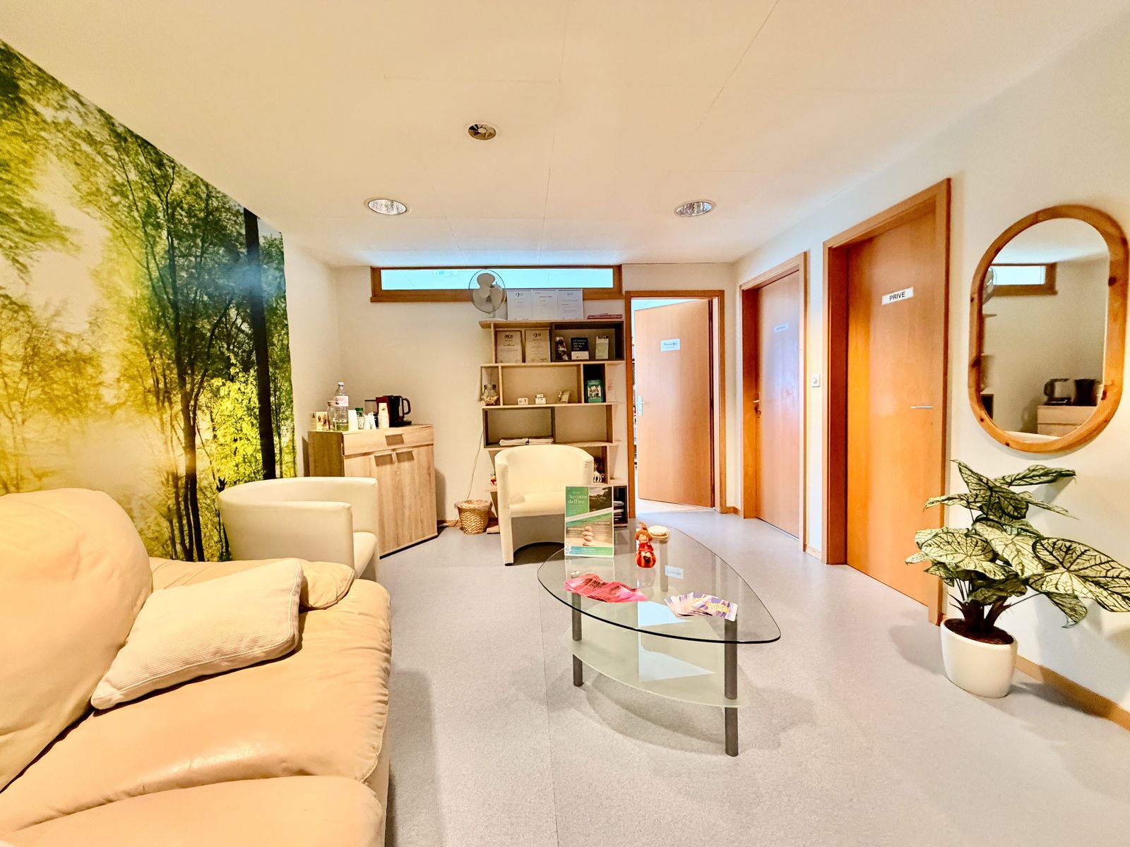 Salle d’attente Cabinet Naturos Prilly avec canapé et décor nature